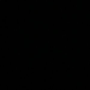 Meet your Posher, Zachary